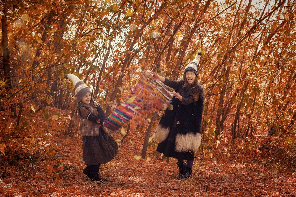 из жизни Гномов