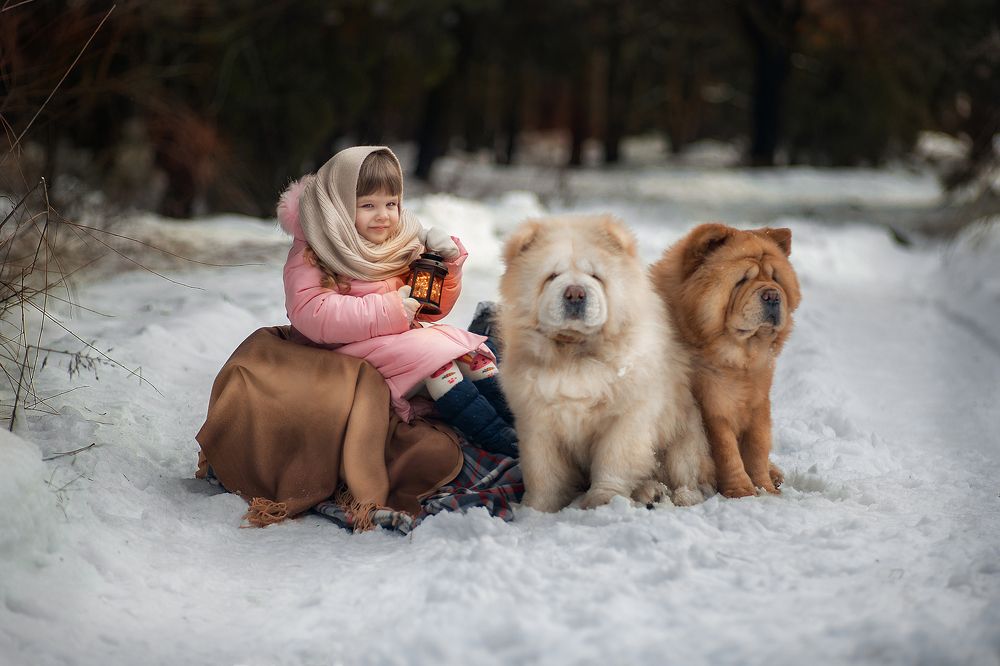 Зимний вечер