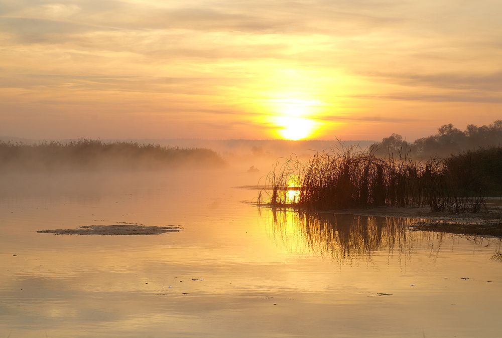 Photograph by Евгений Кулик