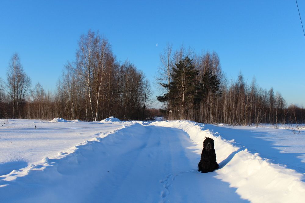 Пейзаж с луной