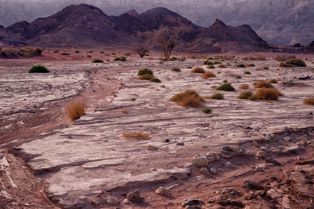 Марсианские хроники