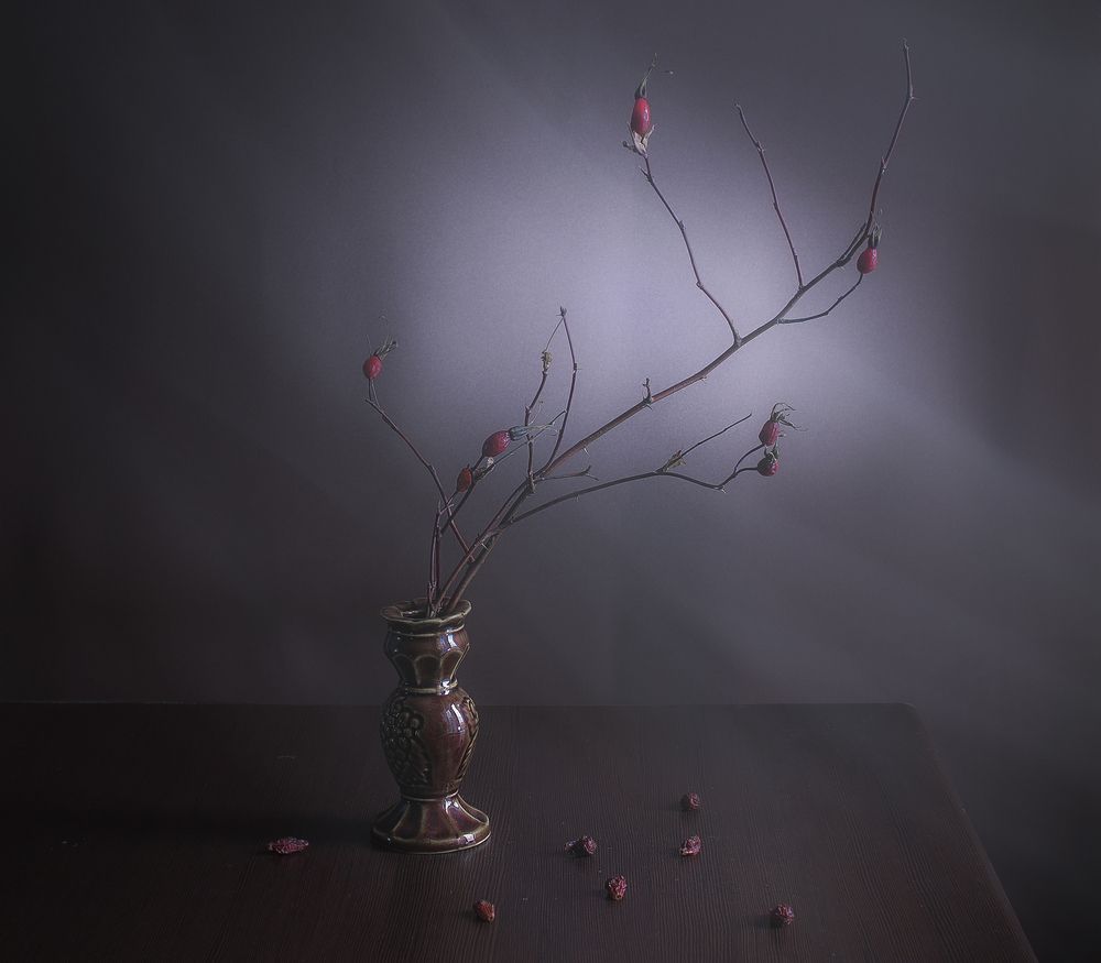 Про шиповник