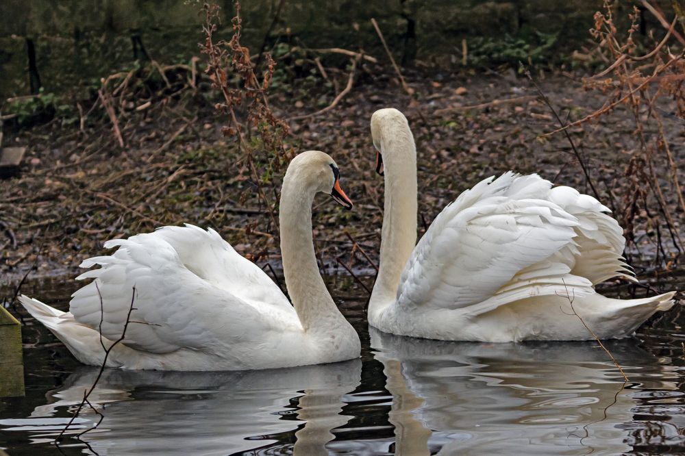 Гульчатай, открой личико