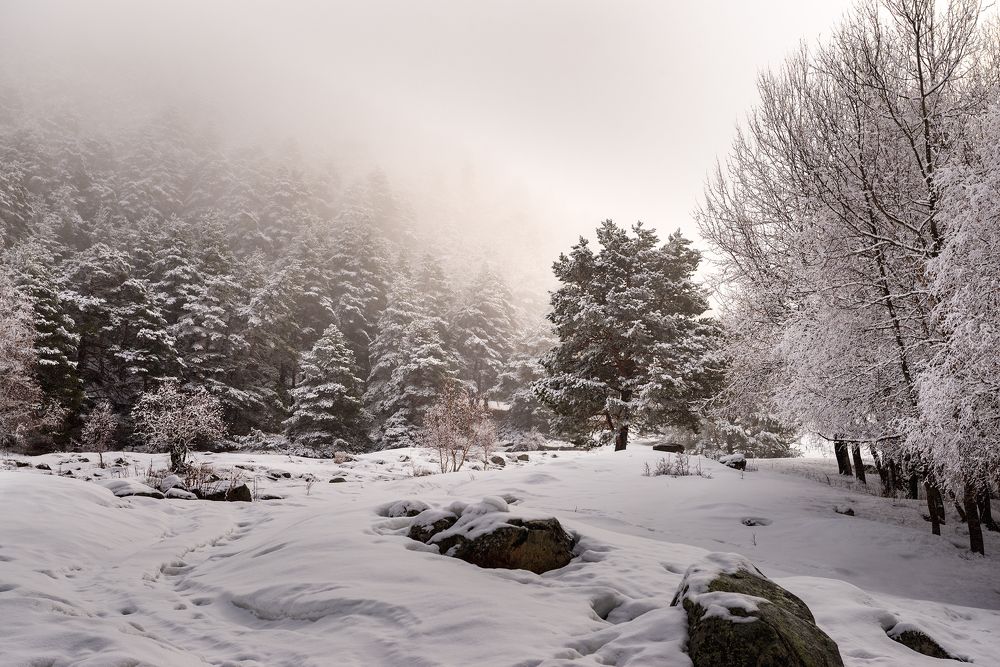 Снежный март в горах