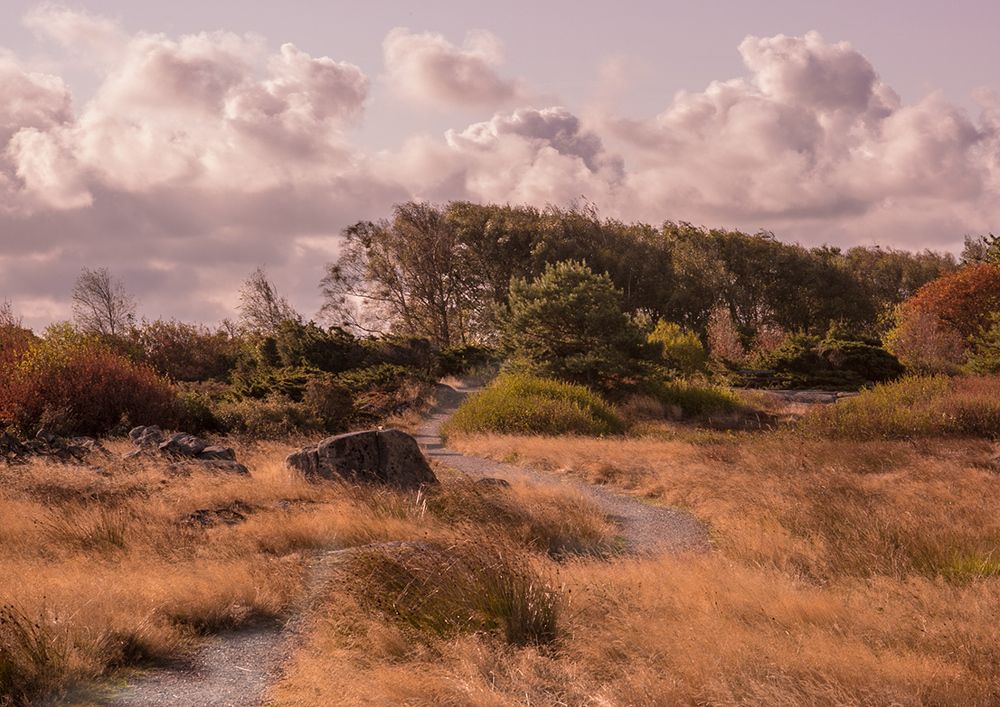 Бегу за тобой