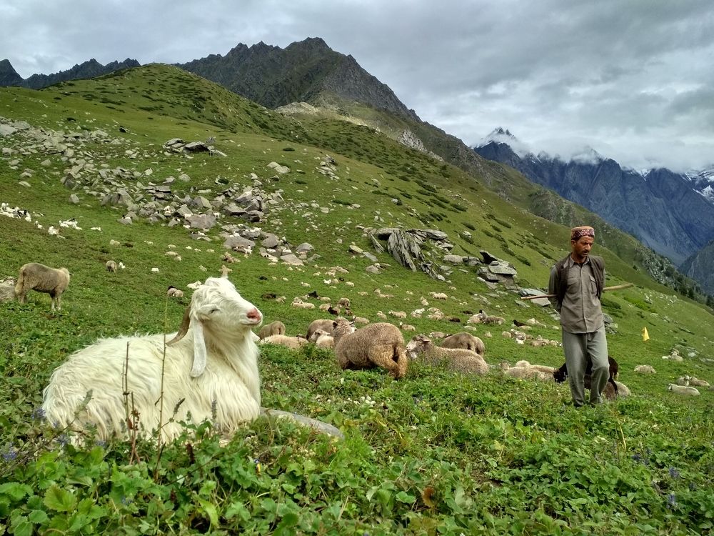 In the hills - within the hills