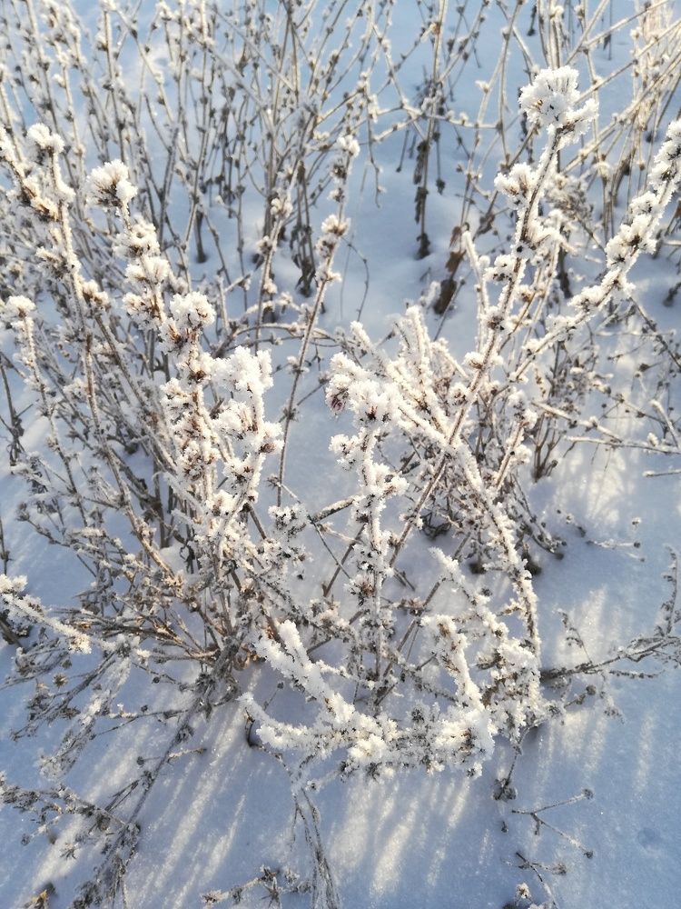 Photograph by Анастасия Клевакина