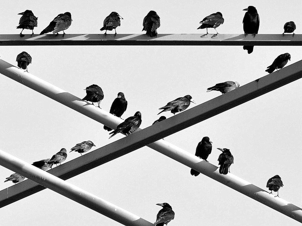 Photograph by Степанов Евгений