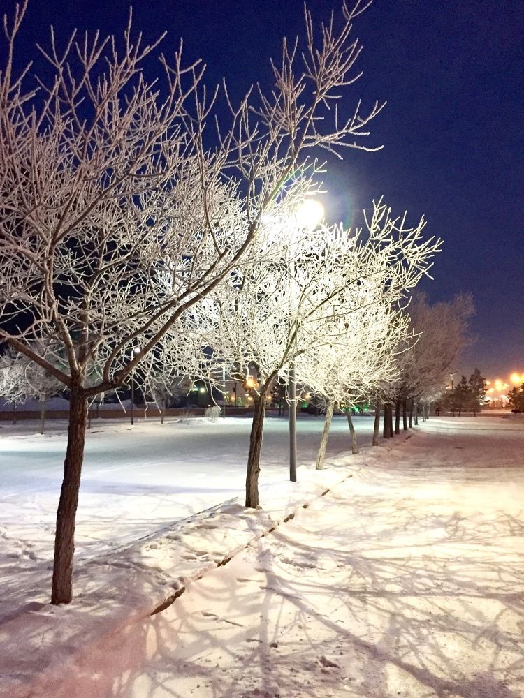 Photograph by Анар Амирова