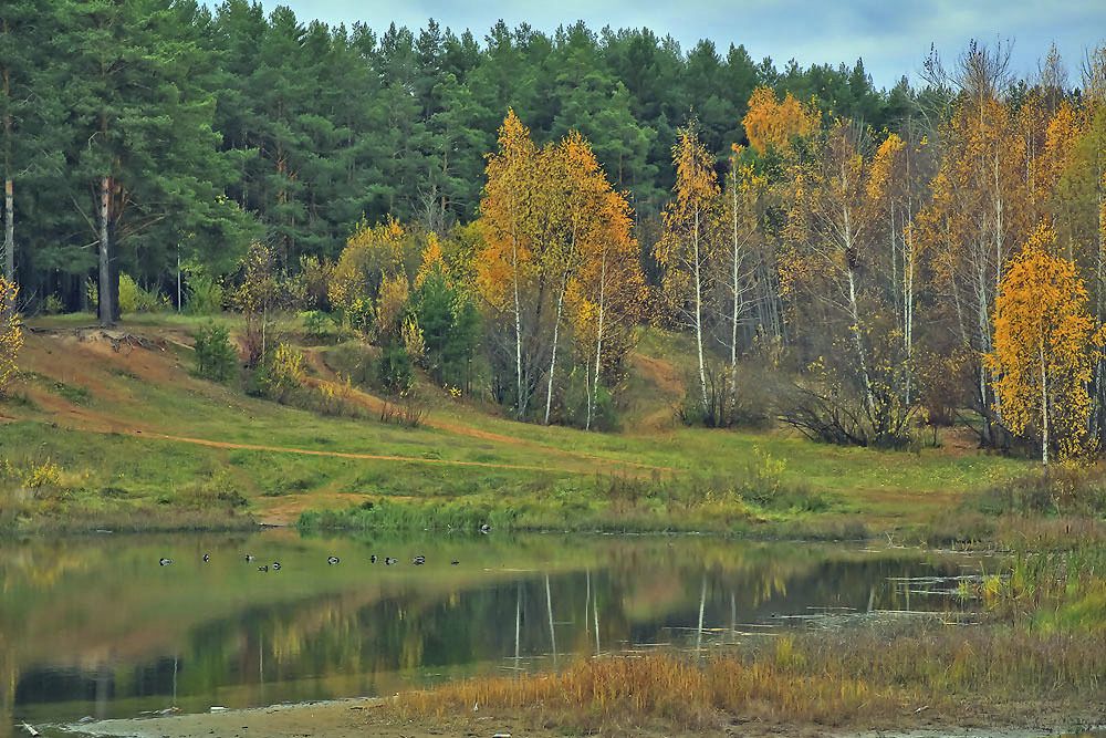 Лесное озеро в Челнах. Татарстан.