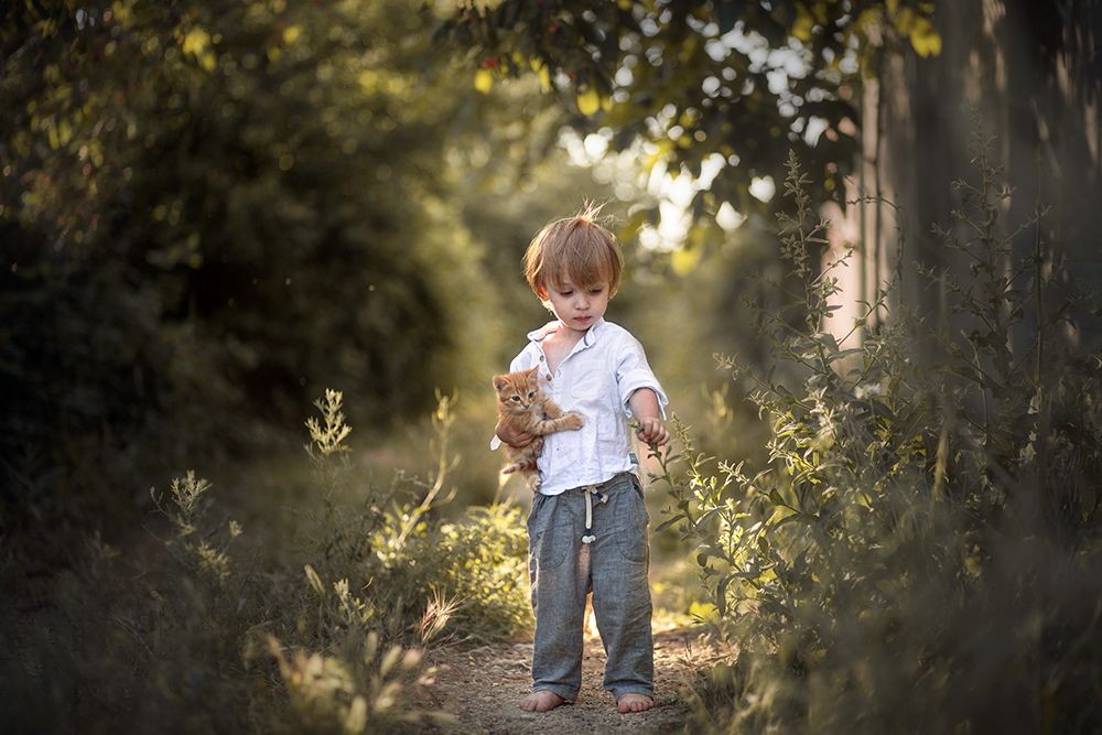 с верным другом