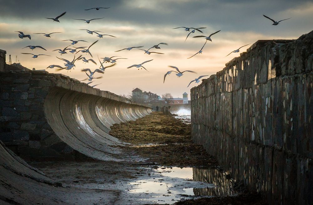 Время ловить ветер...