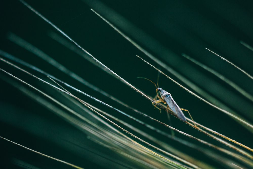 Photograph by Луговская Анастасия