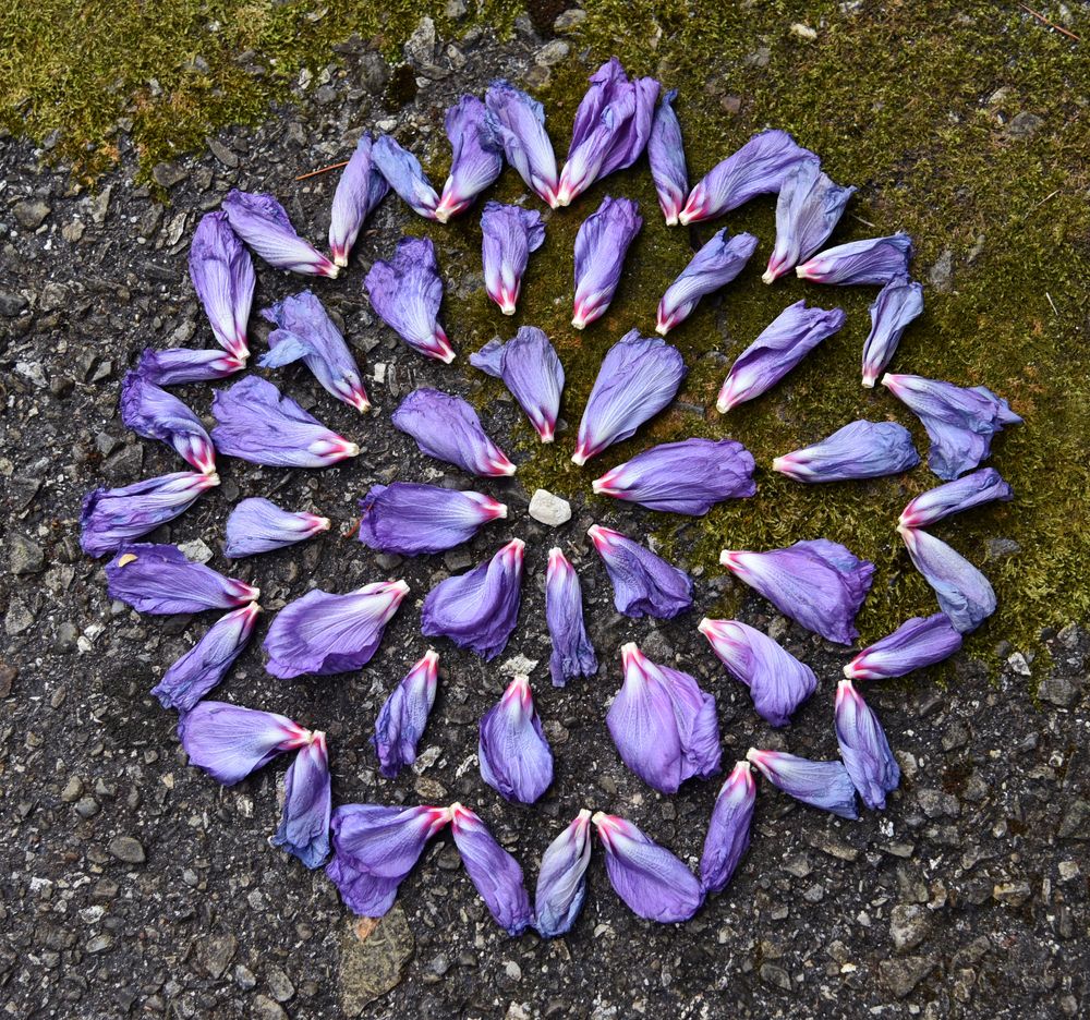 В поисках гармонии