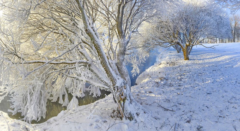 В бриллиантах от Зимы.