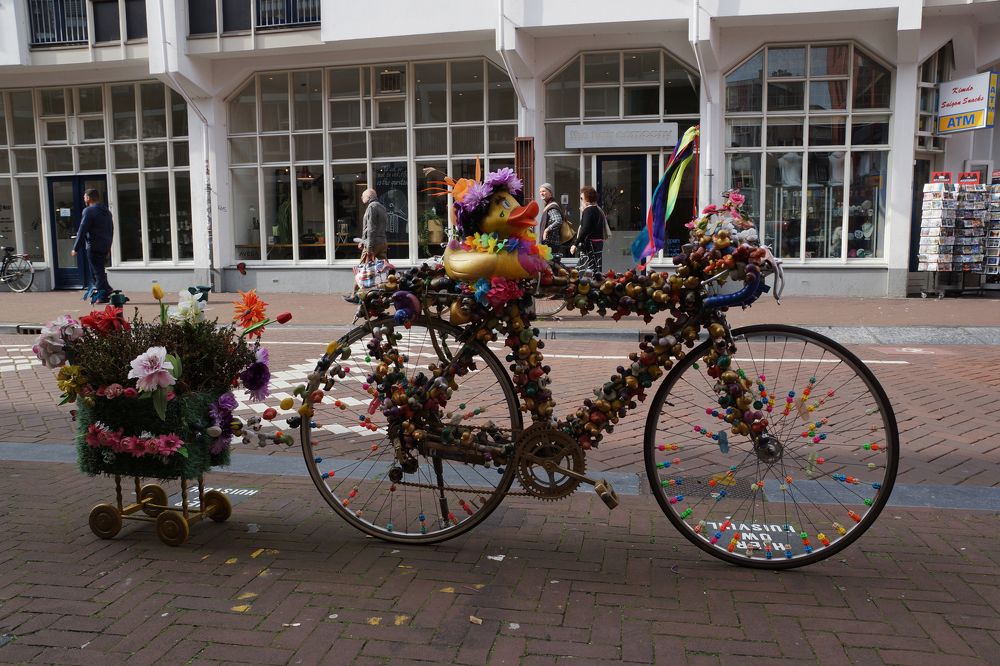 Фотография автора Evgeniya KHOKHLOVA