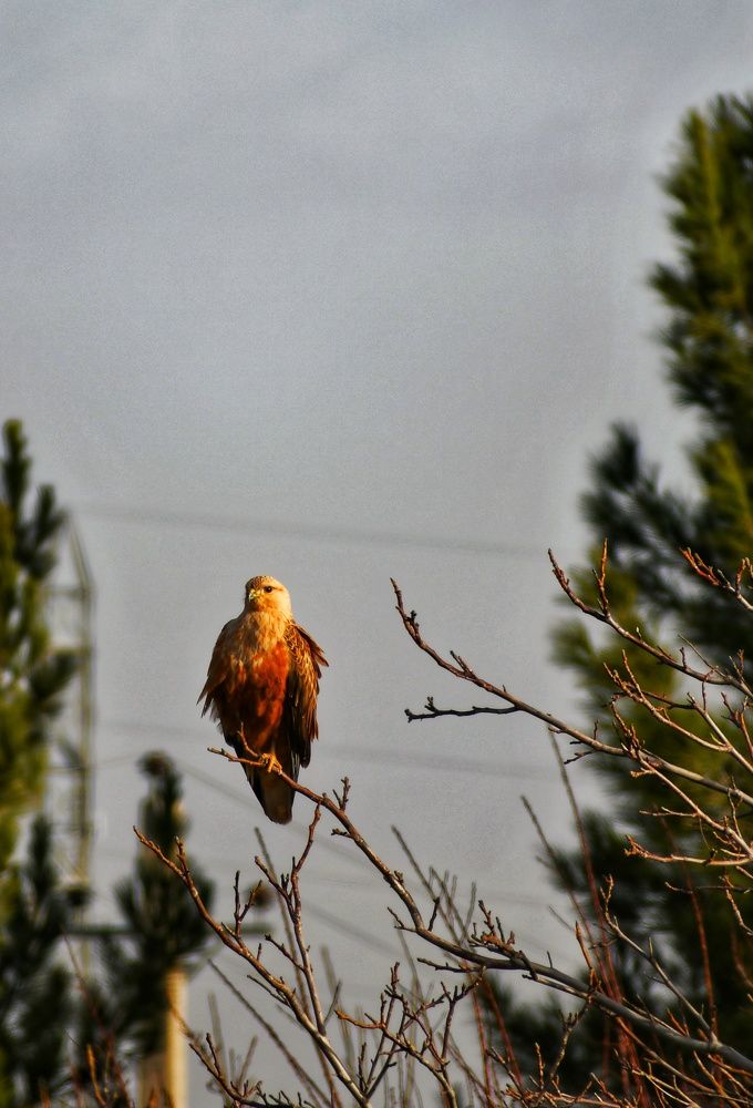 Photograph by Adl Abdolahi