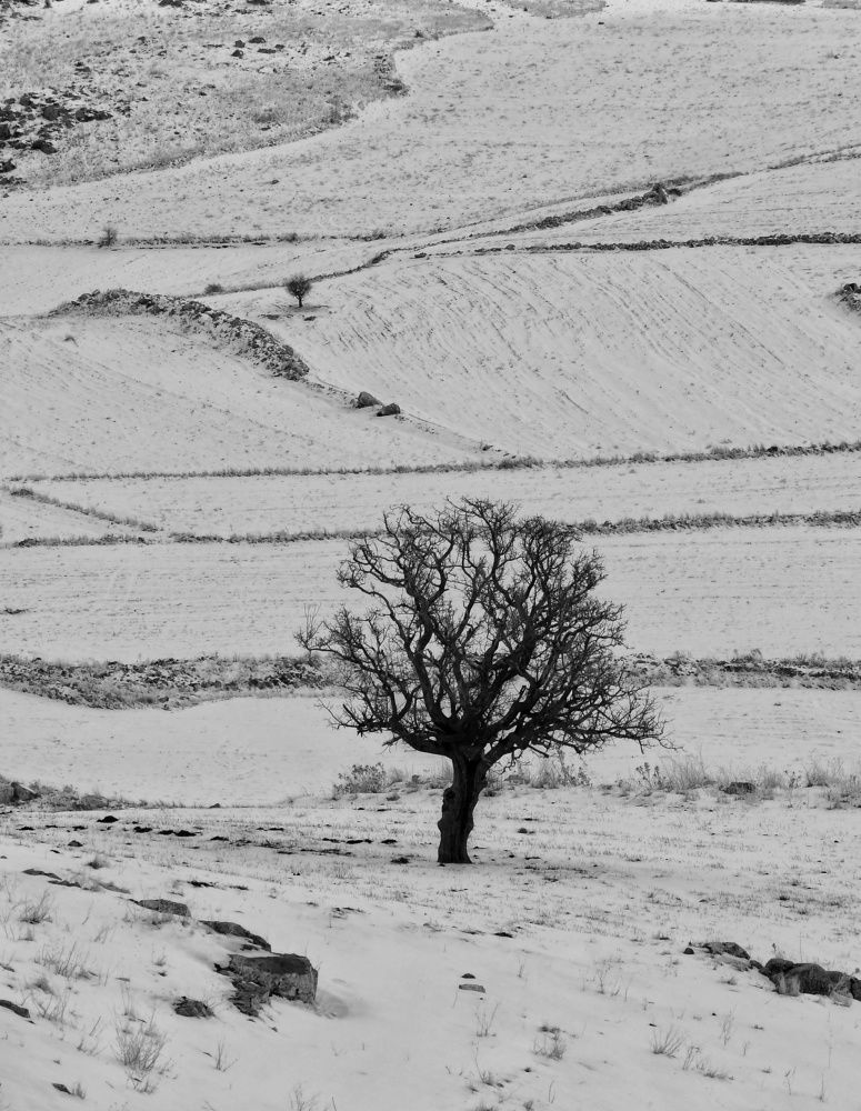 Photograph by Adl Abdolahi