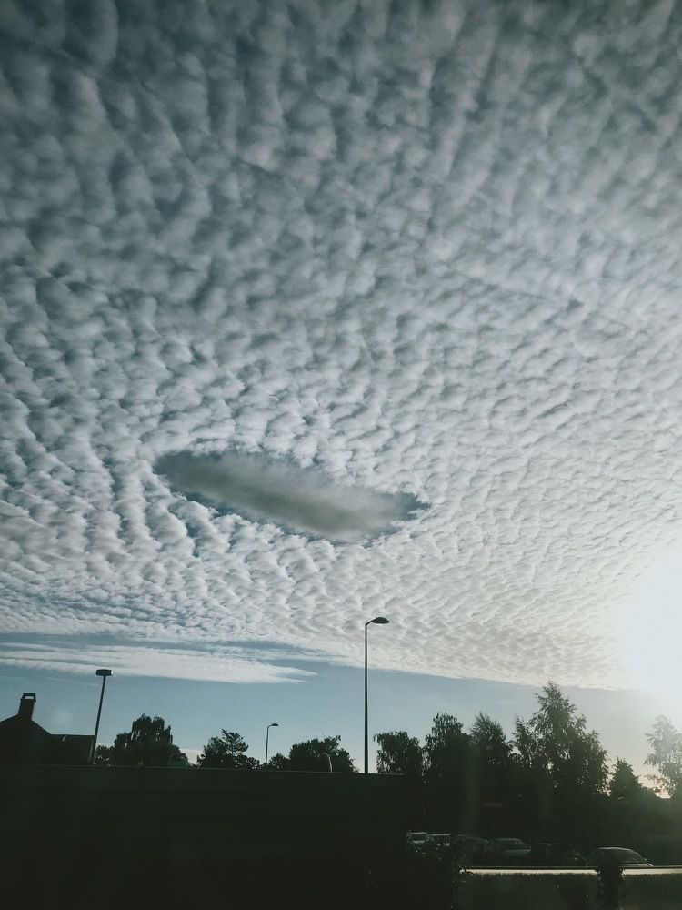 Индивидуал