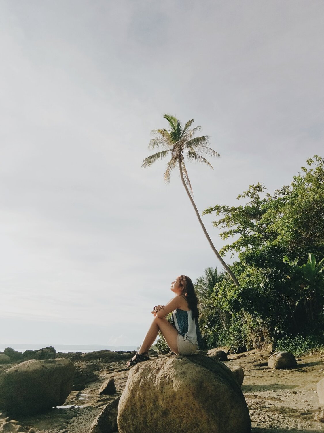 Tropical