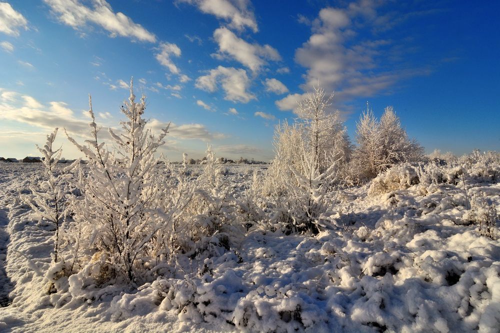 Photograph by Качанов Вадим