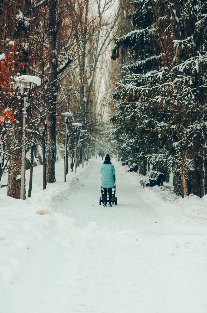Зимой всё только начинается