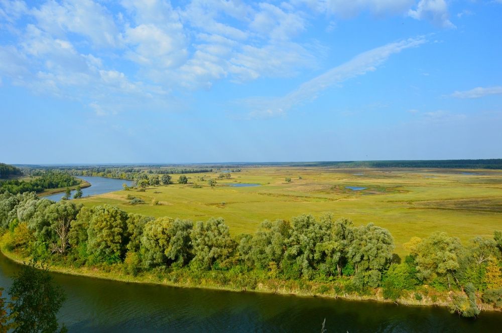 Река Десна/Desna River
