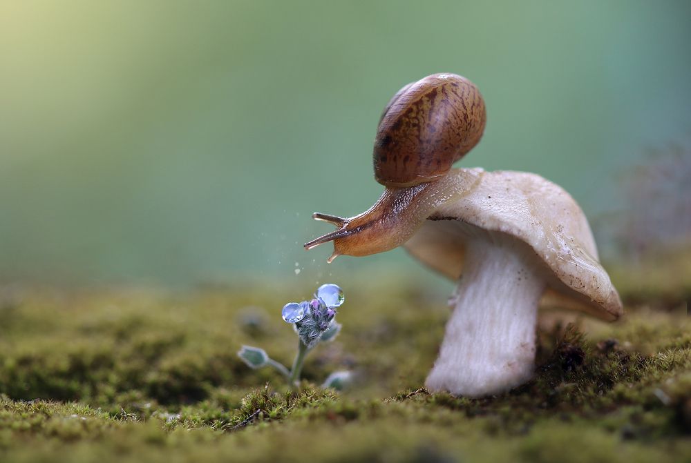 В ожидании рассвета