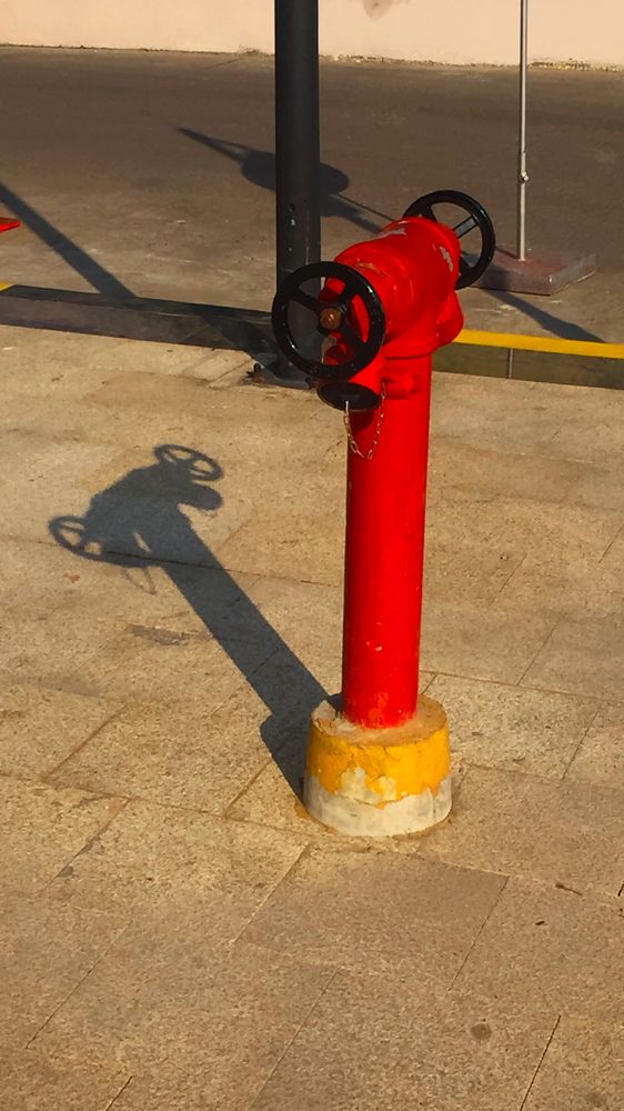 Shadow At The Estate