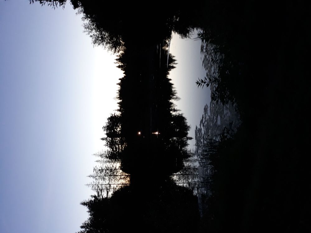 Photograph by Анастасия Левченко