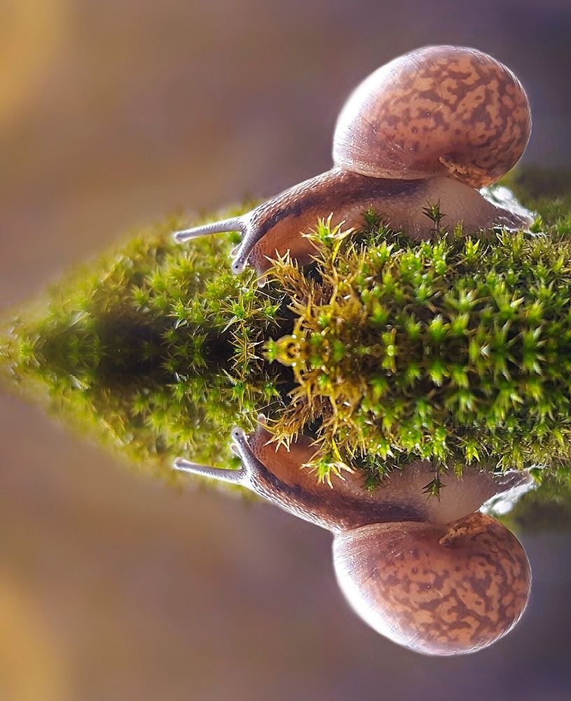 Photograph by Татьяна Пименкова