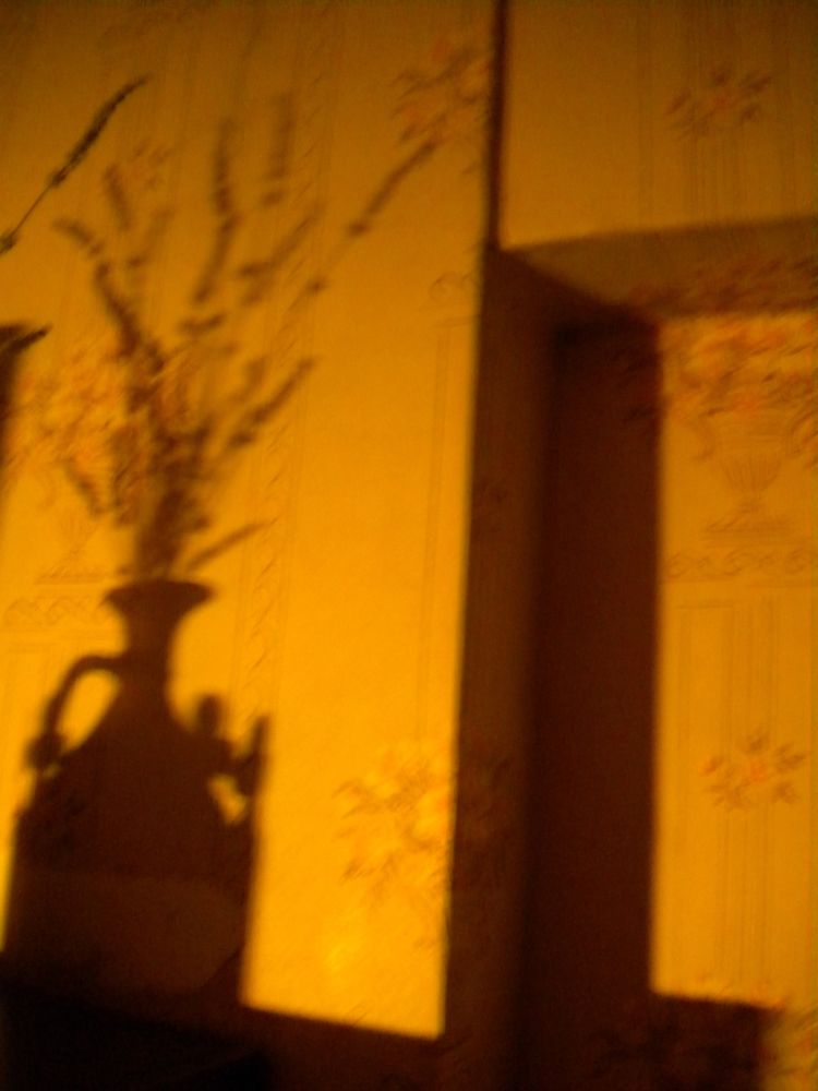 Photograph by 