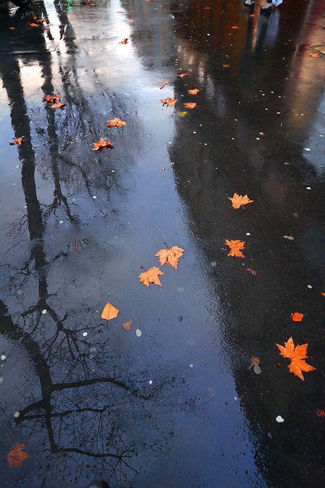 shadows and reflections from the street