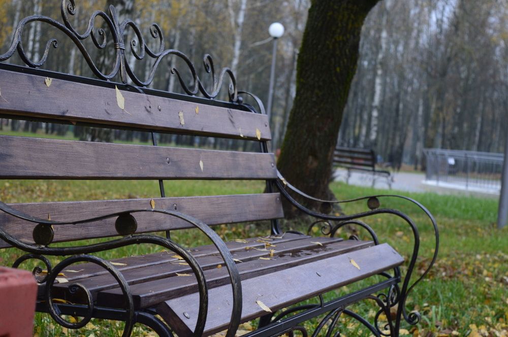 скамейка в парке