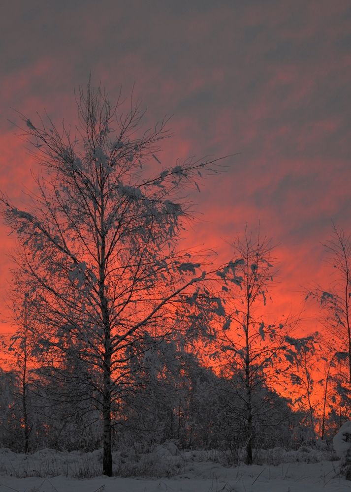 огненный закат