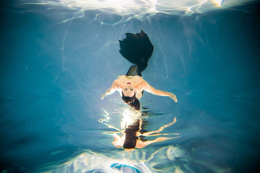 Photograph by Елисеева Алла