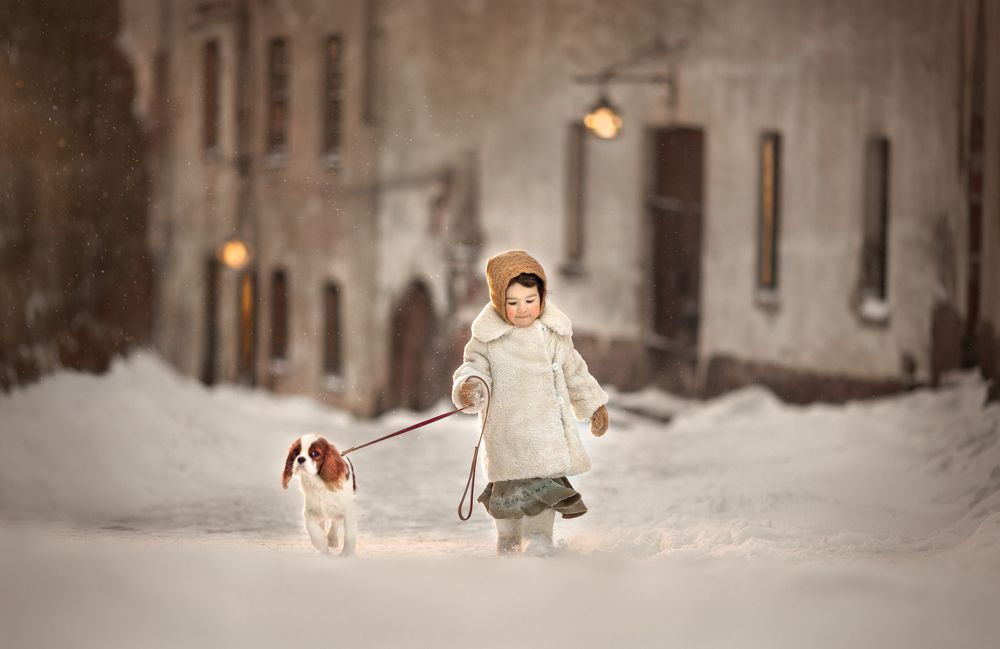 Зимой в Выборге