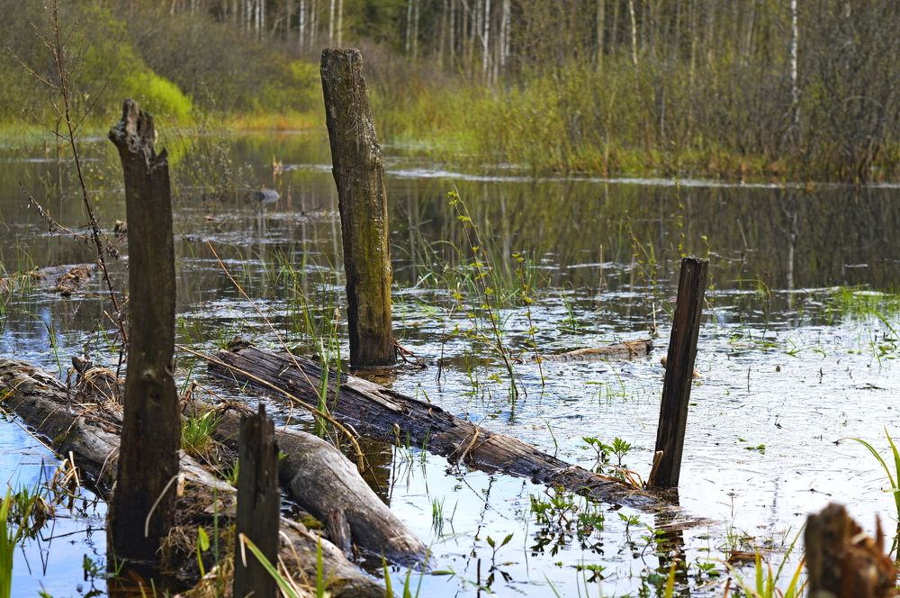 забытое озеро