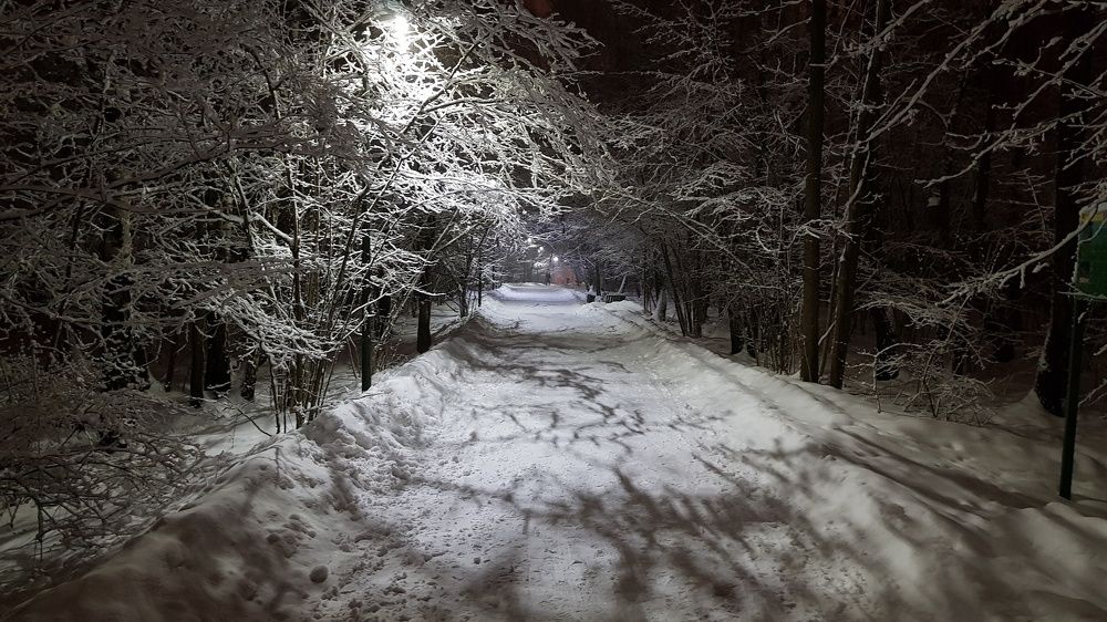 Photograph by  Vadim