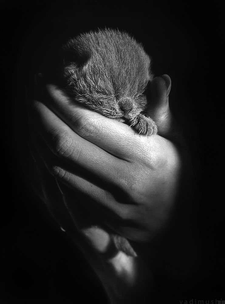 Photograph by  Vadim