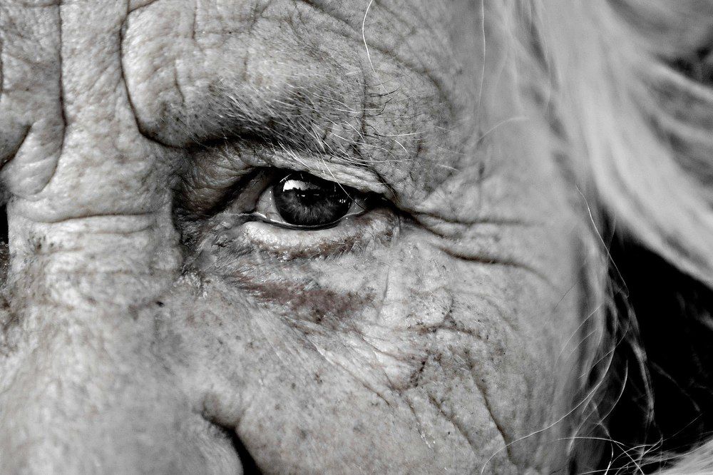 Вся жизнь...