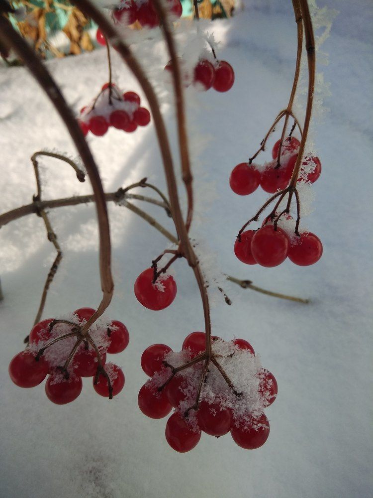 Photograph by Оксана Зяблова