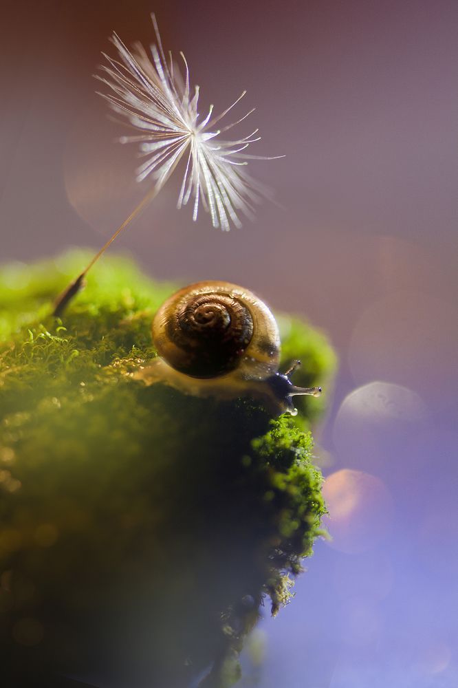 сказочный берег