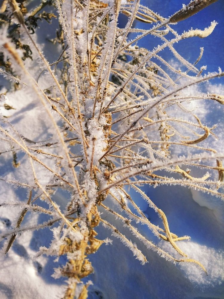 Photograph by Оксана Зяблова