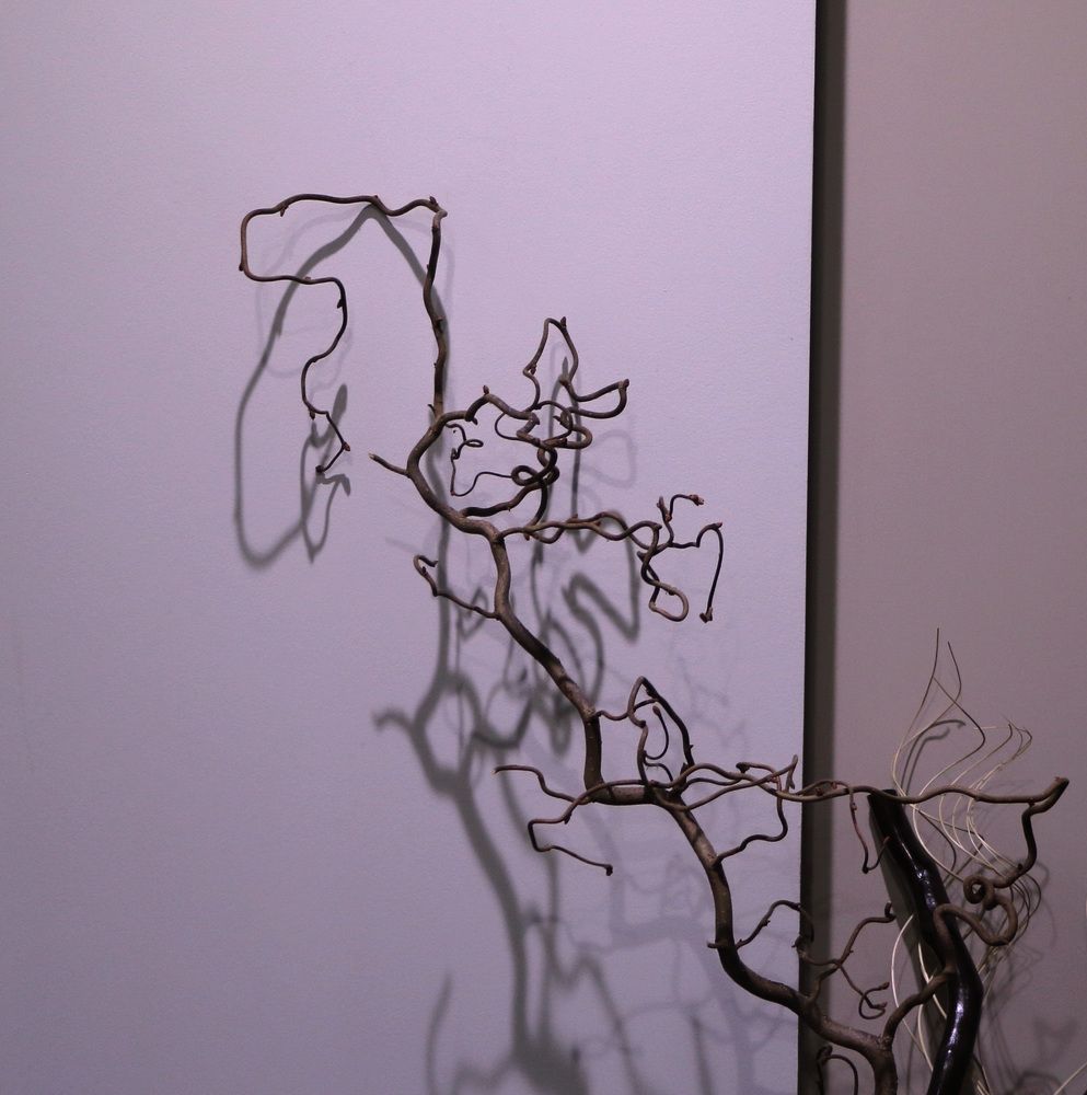 Photograph by Елена Тарашкевич