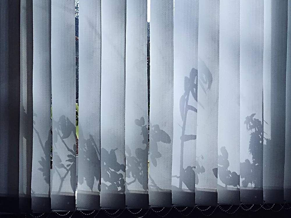 Театр теней за окном..