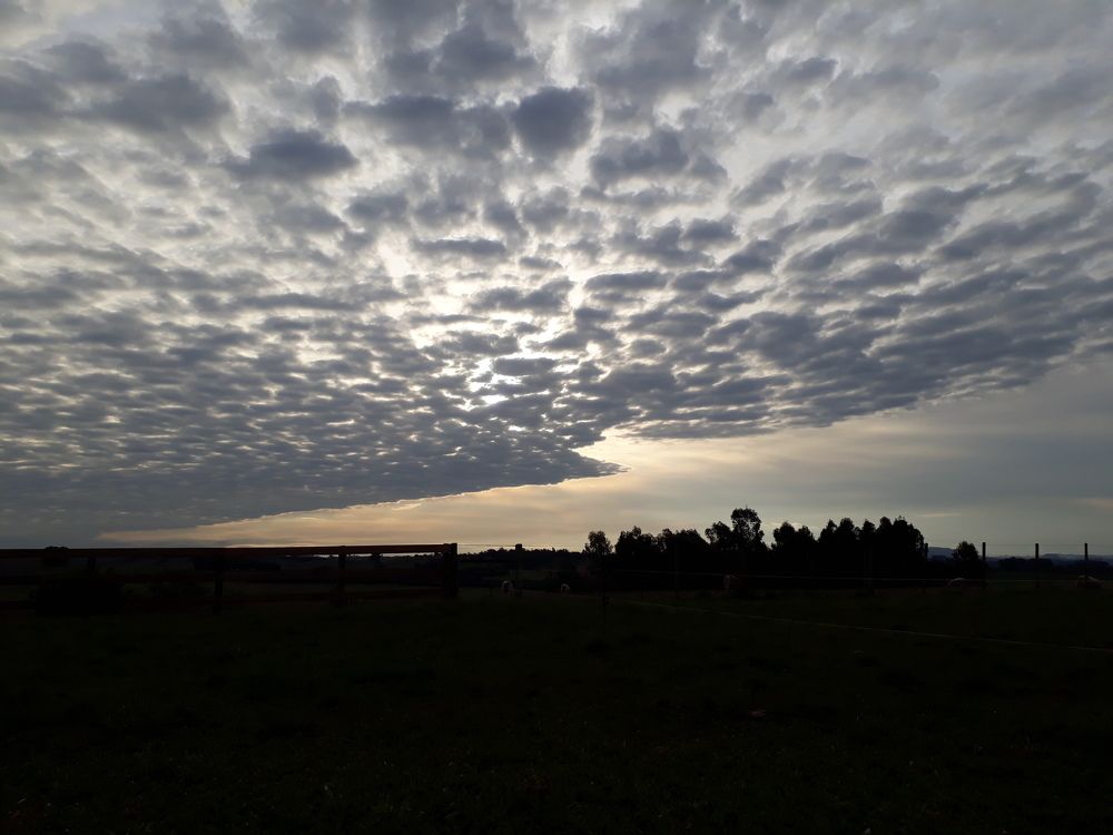 Cloudy afternoon