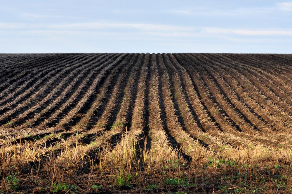 Photograph by Степанов Евгений