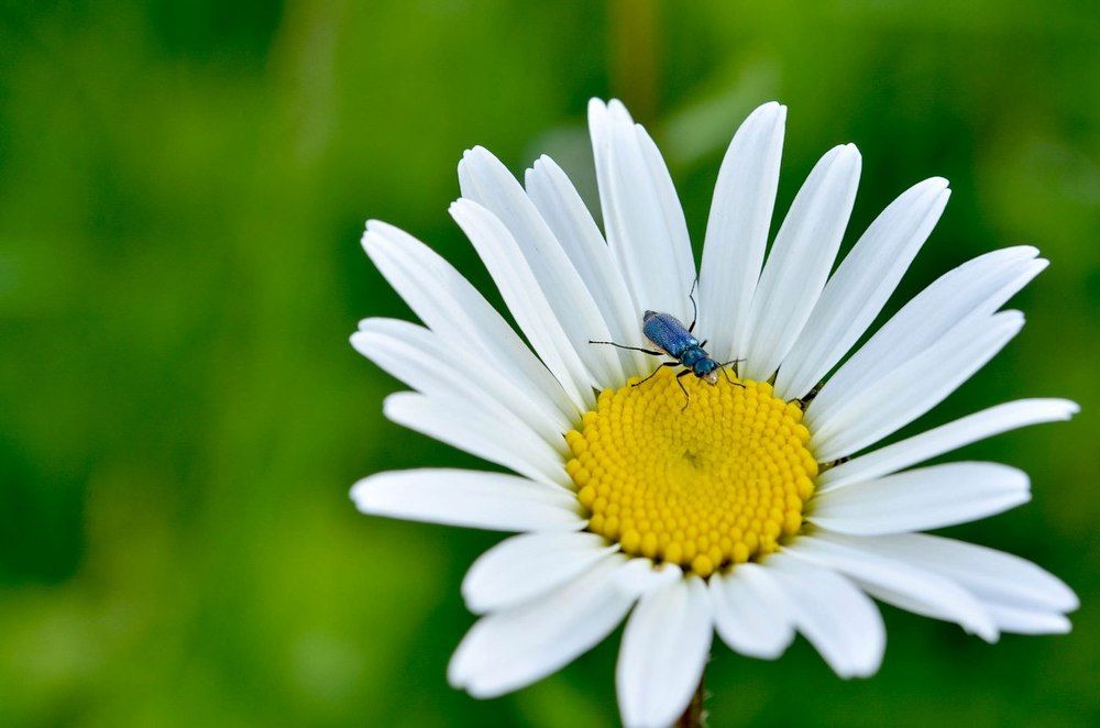 Photograph by игорь герасимовский