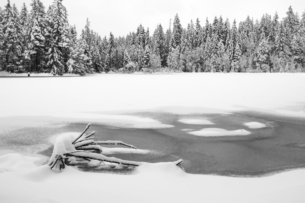 Photograph by Natalia